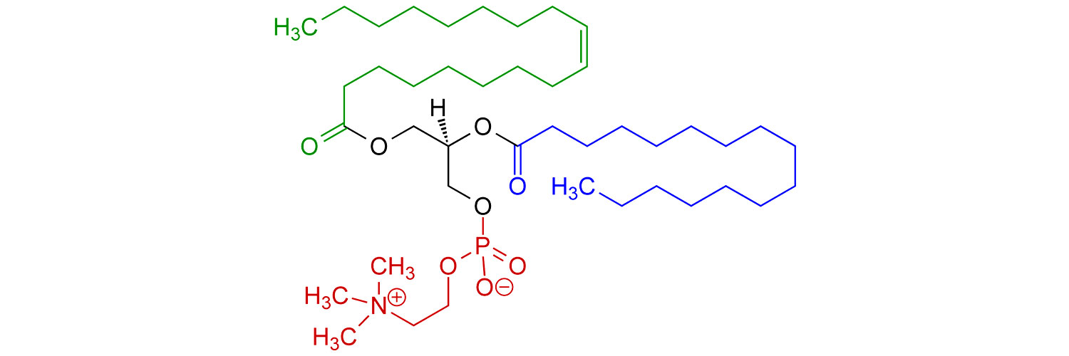 ساختار شیمیایی فسفاتیدیل کولین (phosphatidyl choline)