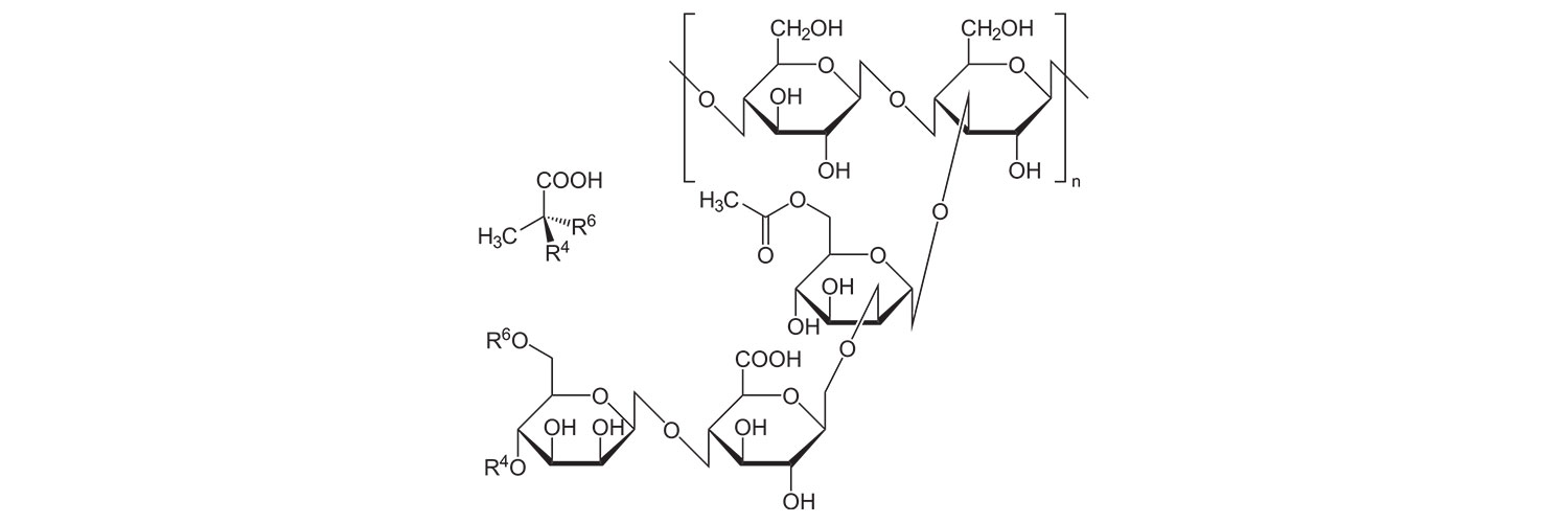 ساختار شیمیایی زانتان گام (Xanthan Gum)